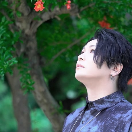 PROMINENCE【Gold】