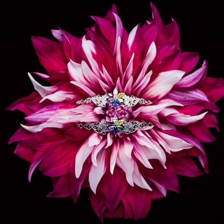 a vivid flower【White】