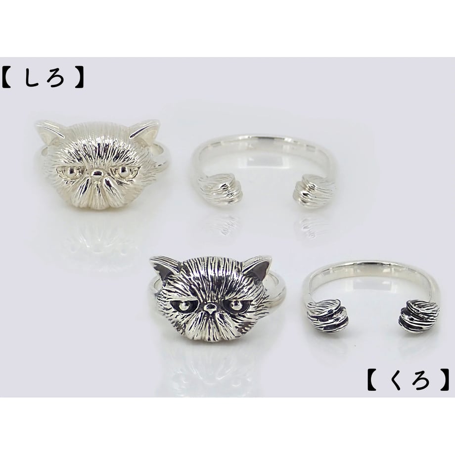 62caab0b40ebf076a52859a5