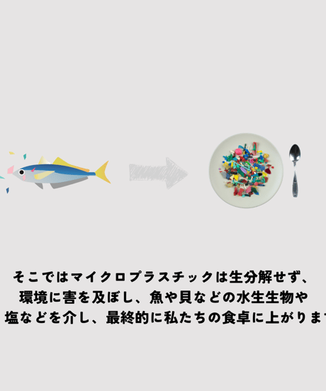 【ていねいな洗濯セット】GUPPY FRIEND ウォッシング・バッグと618（1点）