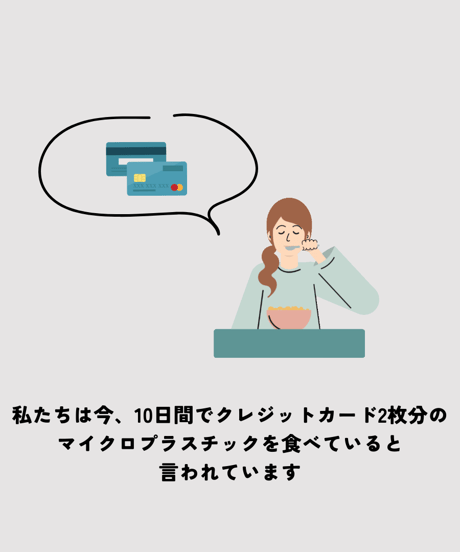 【ていねいな洗濯セット】GUPPY FRIEND ウォッシング・バッグと618（1点）