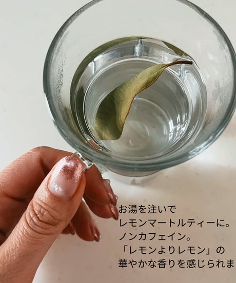 【再販】GARDEN-WILD レモンマートル