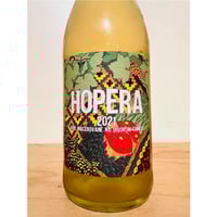 🍷ナチュラルワイン(オレンジ)🍷SLOBODNE VINARSTVO / Hopera 2021 (スロバキア)