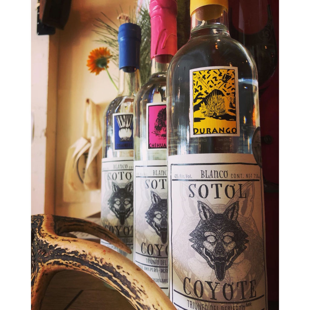 🇲🇽【ソトル】SOTOL 🇲🇽