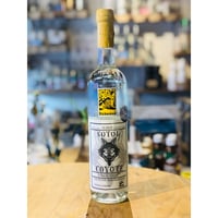 🇲🇽【ソトル】SOTOL 🇲🇽