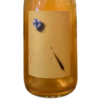 【ナチュラルワイン オレンジ微発泡】🇮🇹Viv Winery / 28 / 12 2024