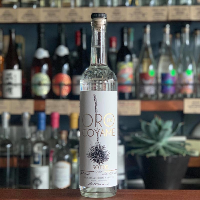 🇲🇽【ソトル】SOTOL 🇲🇽