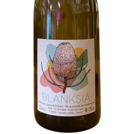 【ナチュラルワイン 白】🇫🇷Sonshine Vins / Blanksia 2022