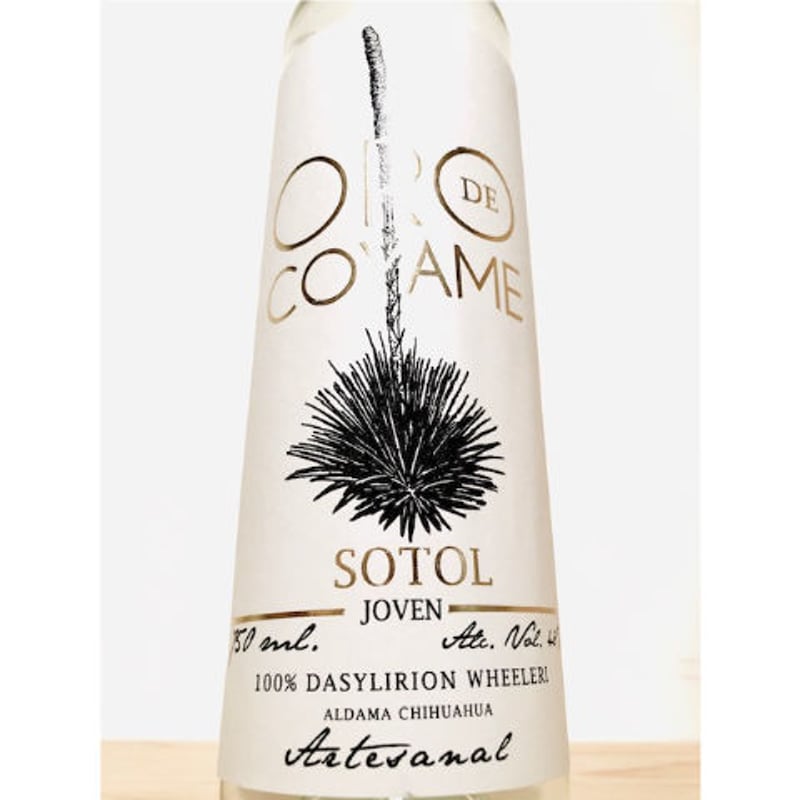 🇲🇽【ソトル】SOTOL 🇲🇽