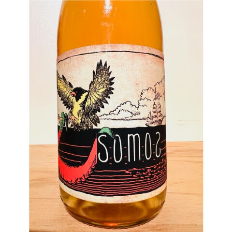 レア　Bruno Bienaimé Savagnin2023 ナチュラル　自然派 Petillant Naturel / ペティアン・ナチュレル 2023の通販情報