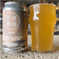 【選べるビールミックスセット】I SAW FIVE BLUE WINDOWS BETWEEN THE CLOUDS