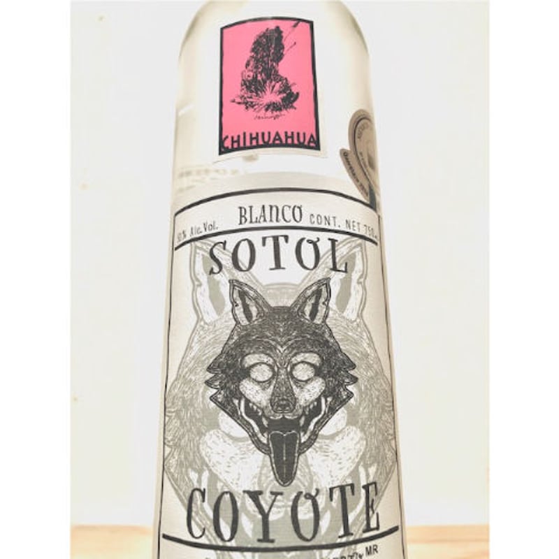 🇲🇽【ソトル】SOTOL 🇲🇽