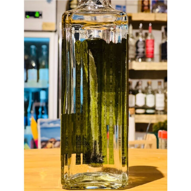 ソトル】SOTOL 🇲🇽