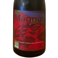 【ナチュラルワイン 赤】🇫🇷Dominique Andiran / Magnus 2020