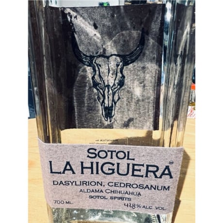🇲🇽【ソトル】SOTOL 🇲🇽"LA HIGUERA" cedrosanum / ラ イゲラ セドロサヌム (メキシコ)