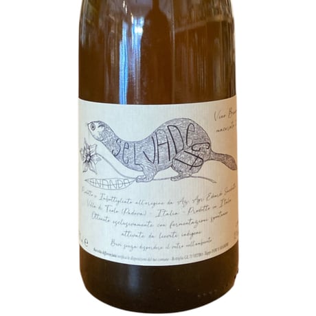 CATEGORY オレンジワイン | 万珍酒店 by MANGOSTEEN の通販サイト