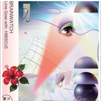 【選べるビールミックスセット】BRAINWATCH with HIBISCUS