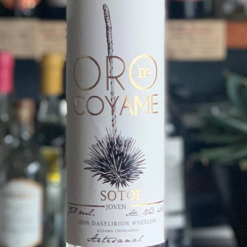 🇲🇽【ソトル】SOTOL 🇲🇽