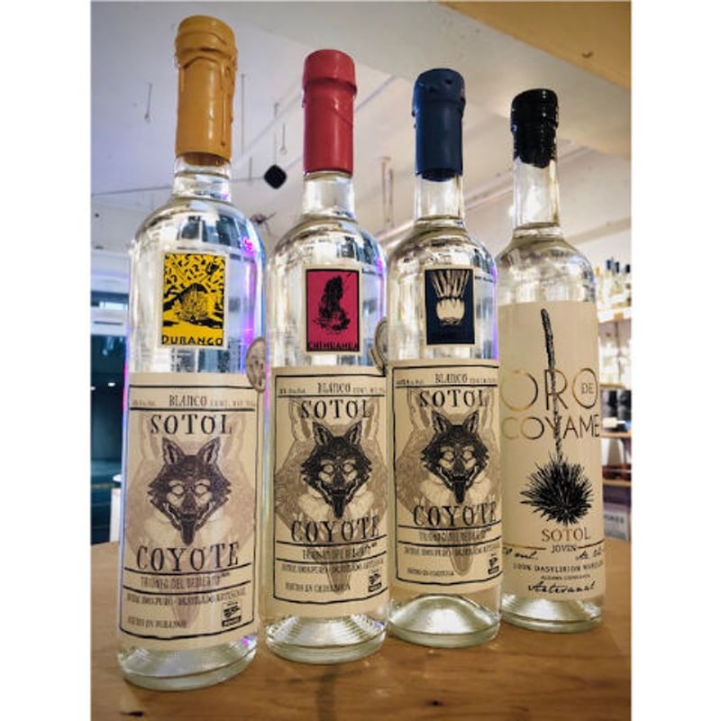 🇲🇽【ソトル】SOTOL 🇲🇽