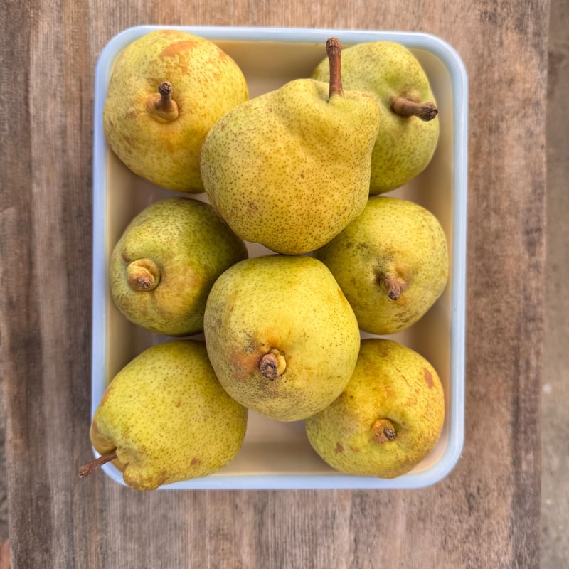 選べるビールミックスセット】KINDAN NO KAJITU | 万珍酒店 by MANGO