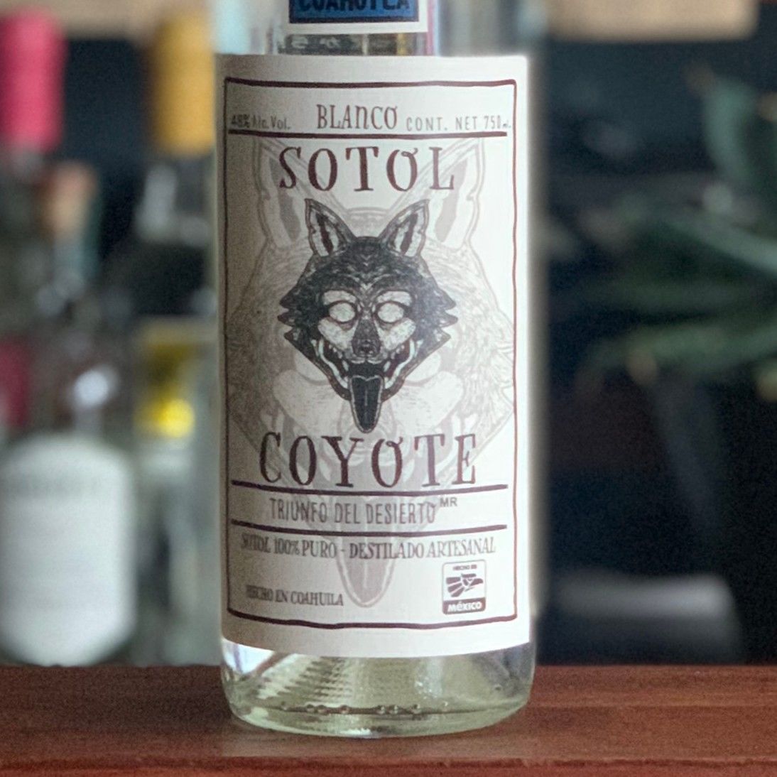 🇲🇽【ソトル】SOTOL 🇲🇽