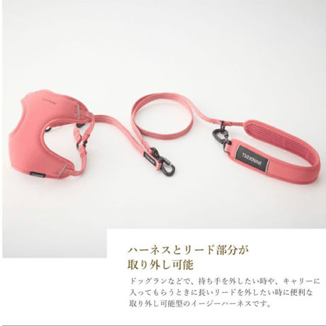 イージーコンフォート
