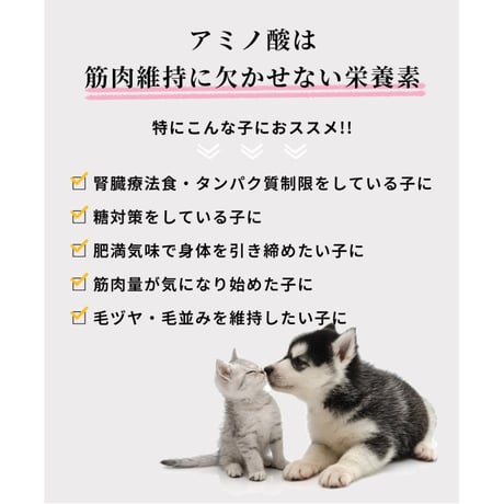 アミノファイン25g