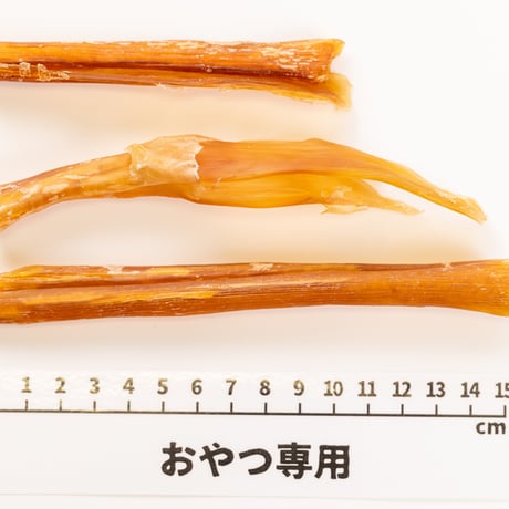 [南米産]馬アキレスホールロング1/2