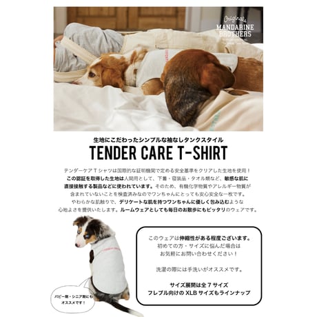 テンダーケアTシャツ