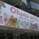 Ohana with's STORE