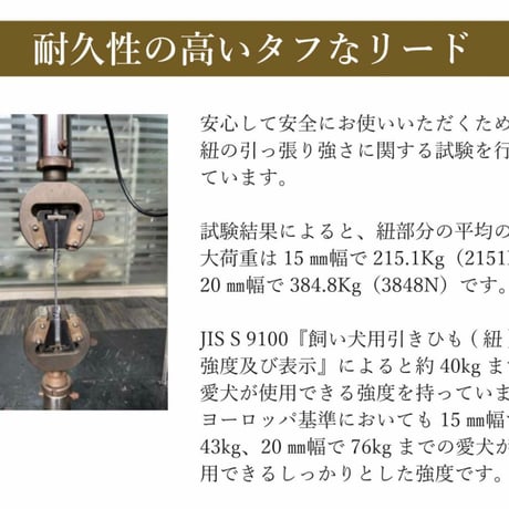 TREKNINE  コンフォートリード