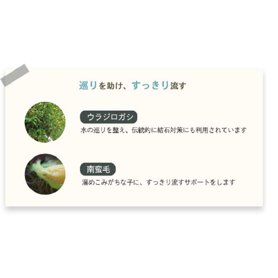 688b51eeff9a53c057e4a416