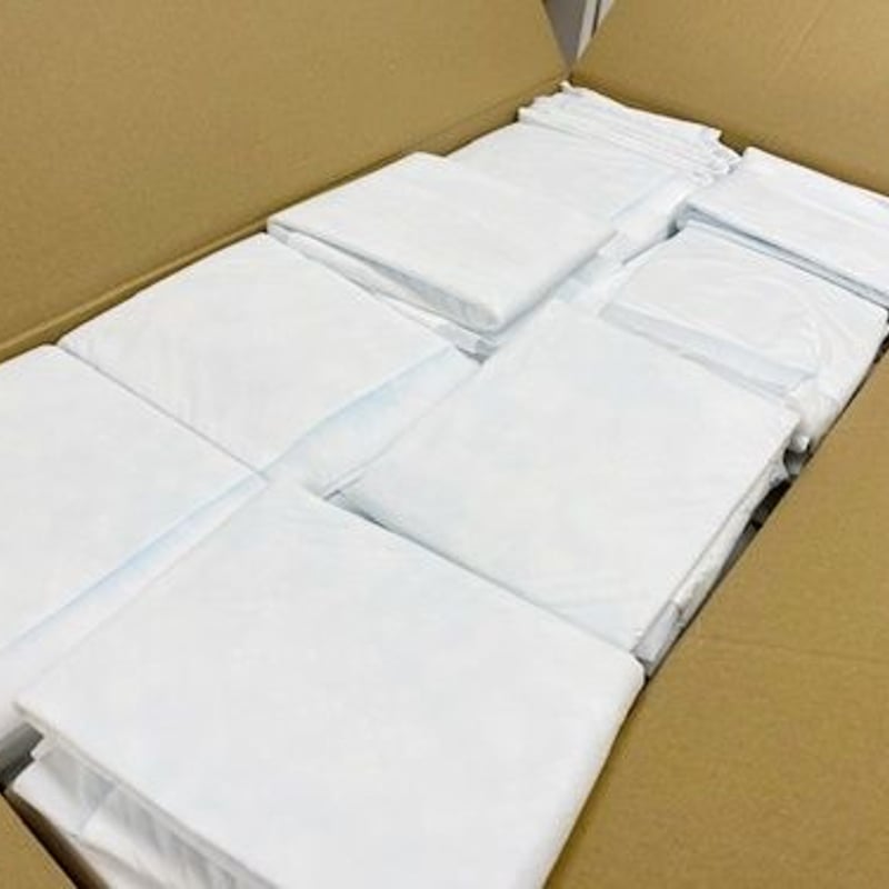 確認ページ♡わんこ チワワ 】生後59日体重416g！極小サイズの超フレンドリーな