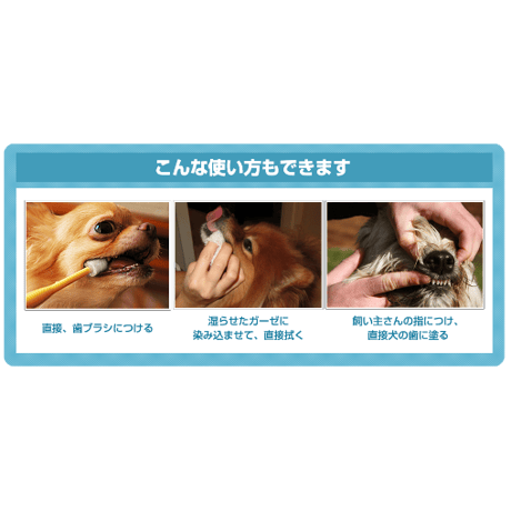 食べる歯みがき粉末 マウスクリーンパウダー90g
