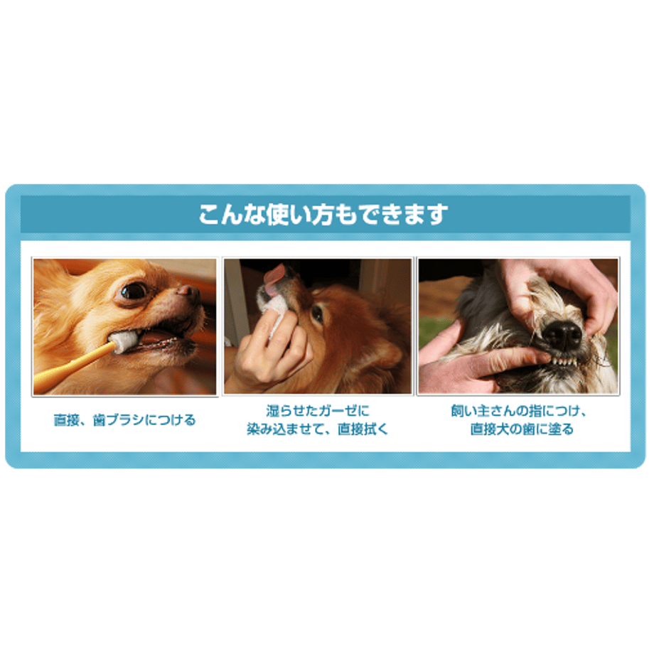 67f7774aa06e09bf04111932