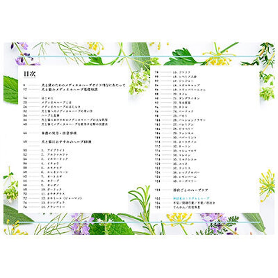 631d5623f0b10842ef8eff4c