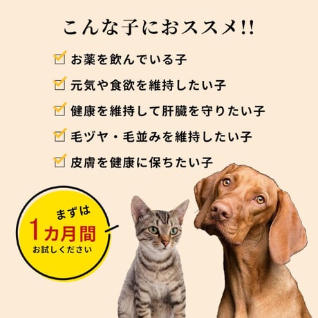 プラセンタ12000