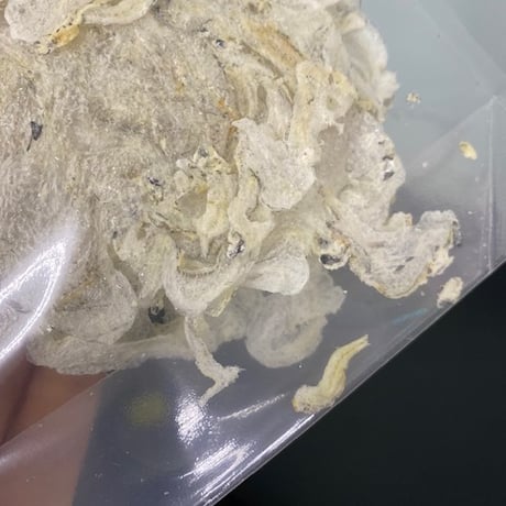 国産しらす　しらすパフ8g