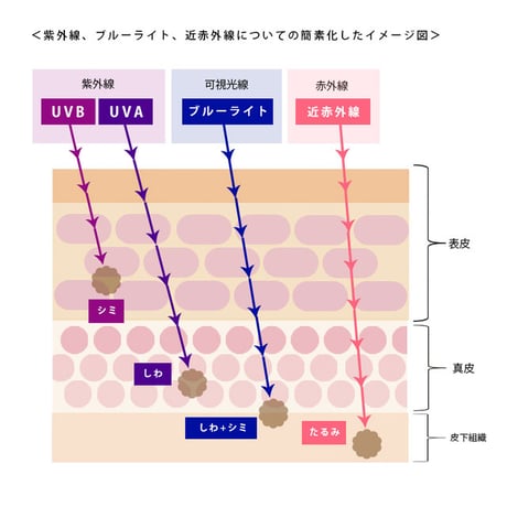 24時間、365日。光ダメージからお肌を守るUVミルク  オールデイ プロテクト UVアクアヴェール / SPF28 / PA+++ / 50g