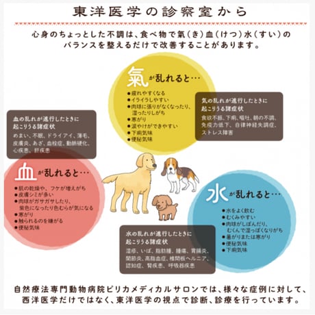 「水」馬肉　ホリスティックフードケアドライフード