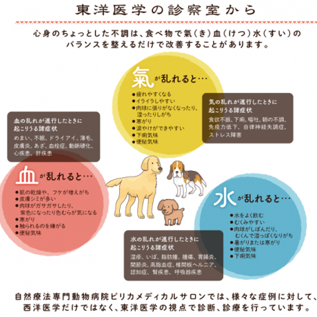 HolisticFoodcare