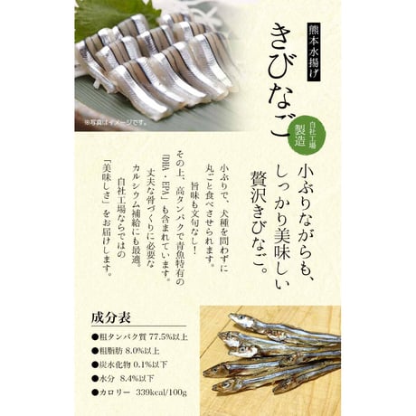きびなご