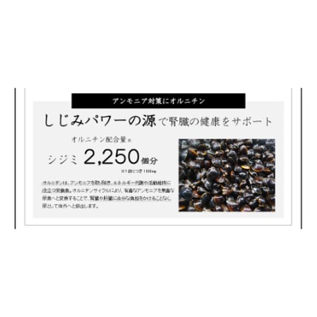 【腎臓】和漢みらいのドッグフード