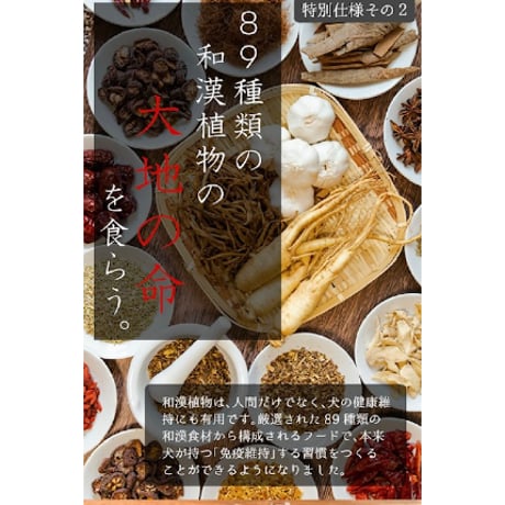 【低たんぱく】和漢みらいのドッグフード/ウエットタイプ