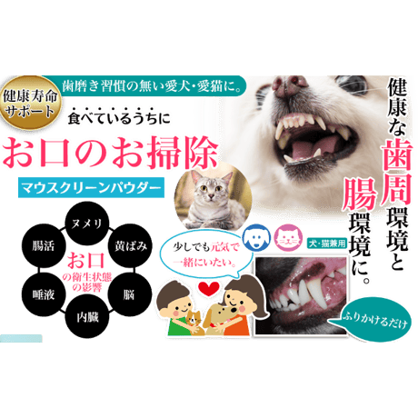 食べる歯みがき粉末 マウスクリーンパウダー90g