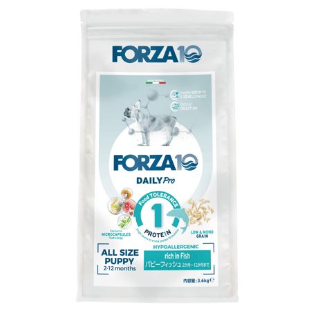 だし薫る犬のごはん フィッシュ 800g × 10 ドギーマン 無添加良品 からだ想いの毎日ごはん 子犬〜成犬用