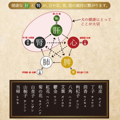 【皮膚・アレルギー】和漢みらいのドッグフード