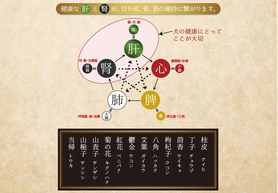 和漢みらいのドッグフード【皮膚・アレルギー】 | Ohana with's