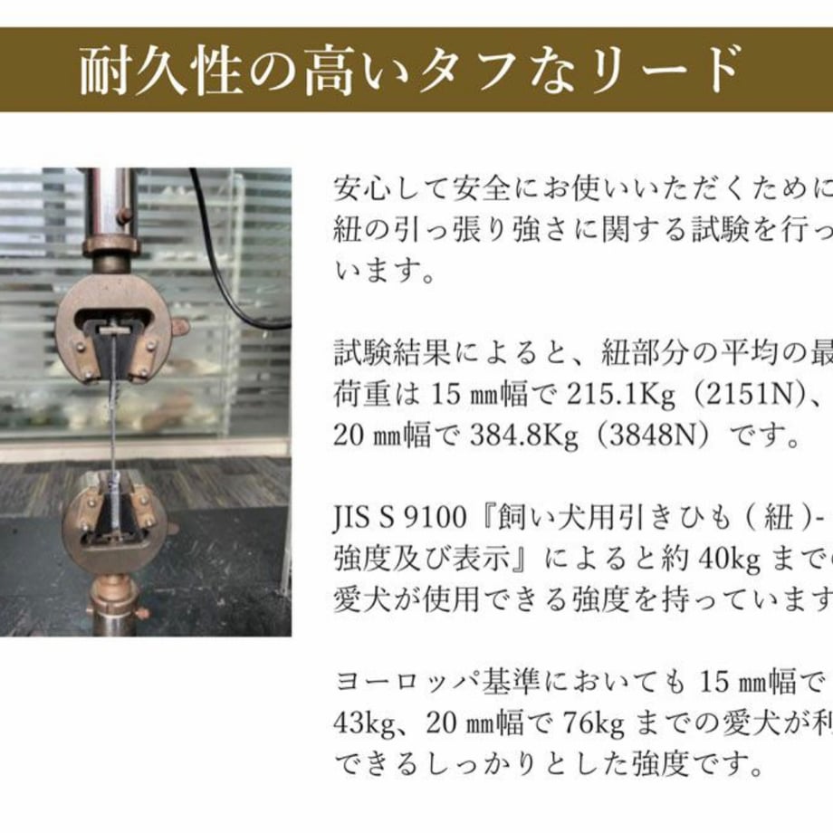 66d1913e38b3a508e6e2205e