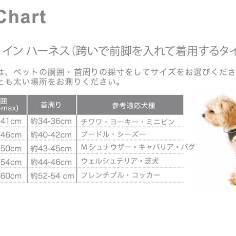 ステップインハーネス1号